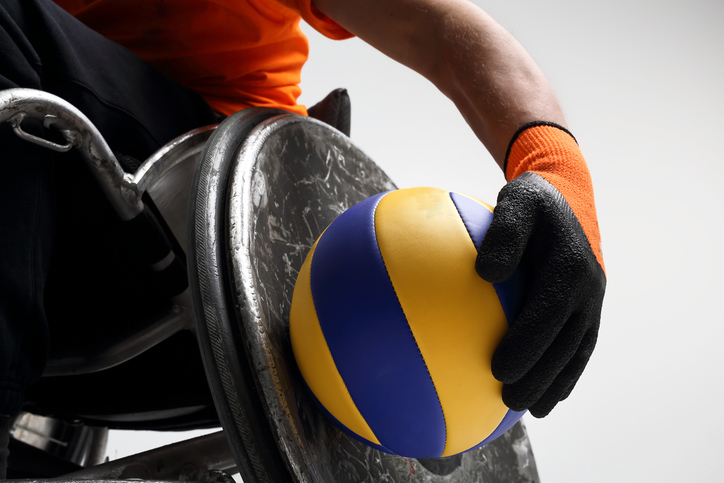 Sporten